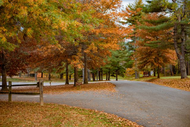 State Parks 1